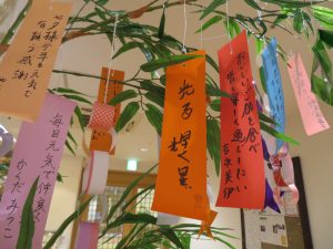 七夕 笹に願いを