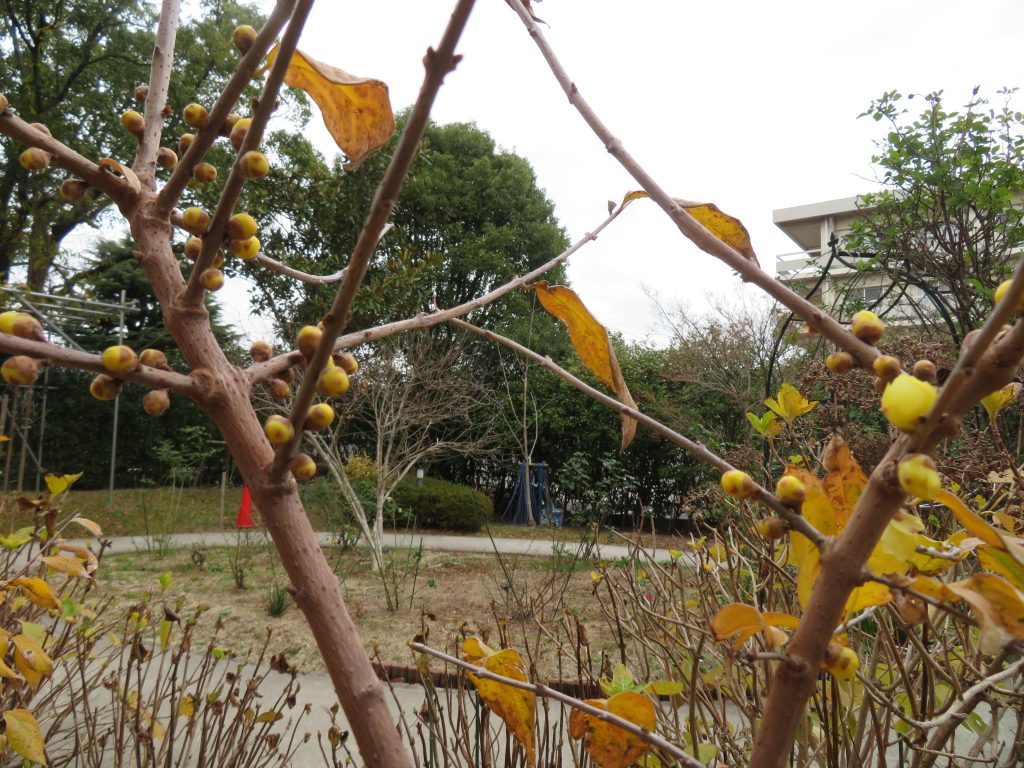 餅花つくり