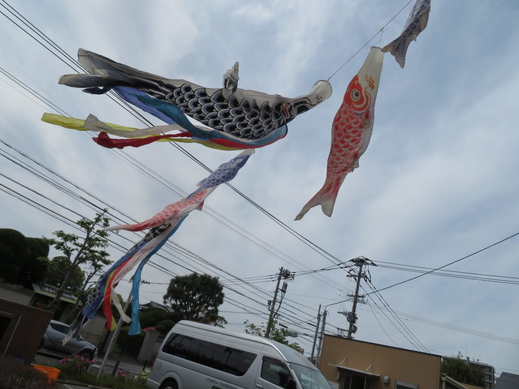 雨上がりの晴天に鯉のぼり