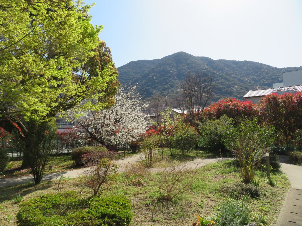 山笑う季節がきました。