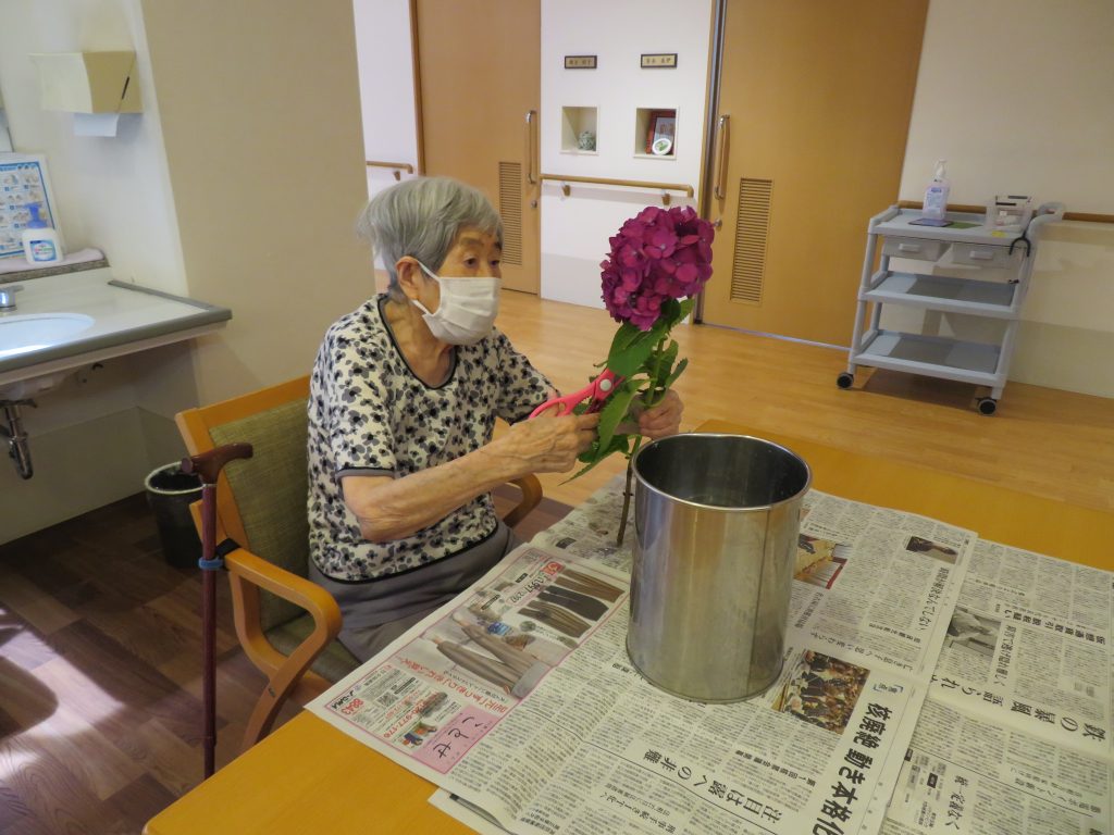 紫陽花活けました