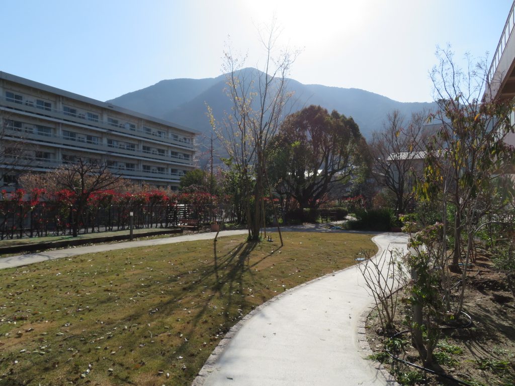 暖かな陽光をあびて