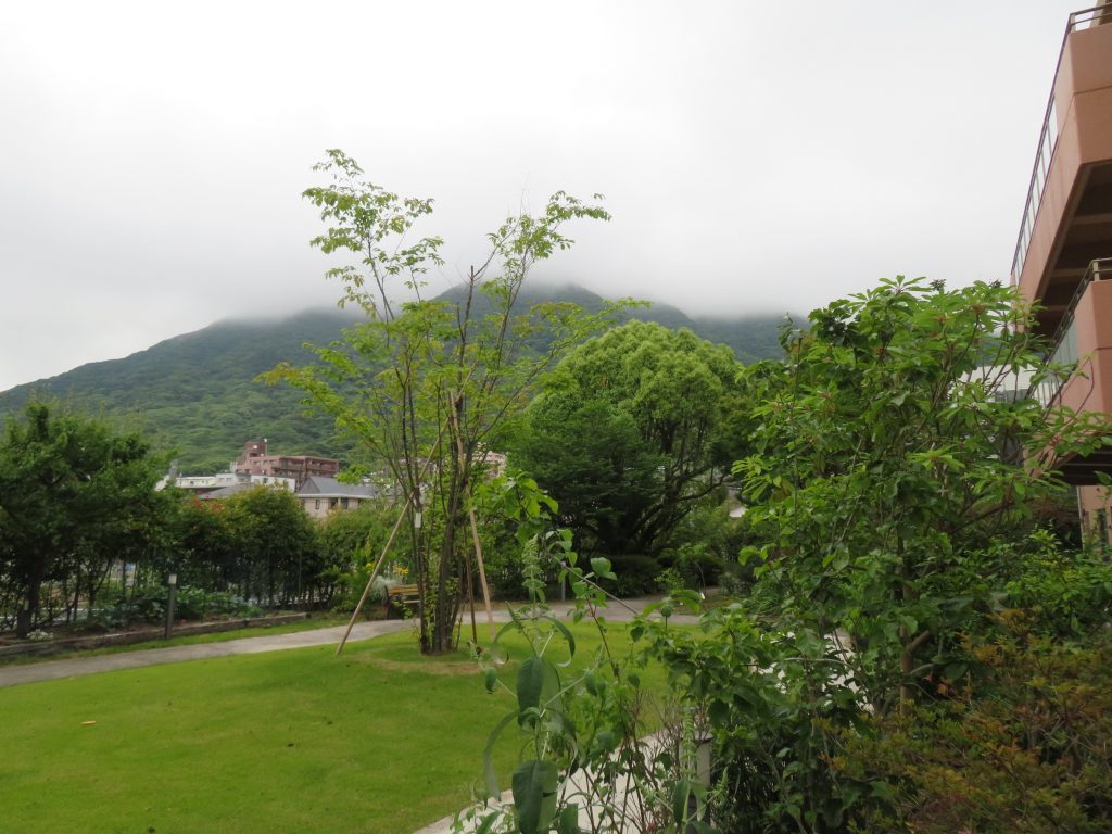 梅雨入り間近の戸ノ上山