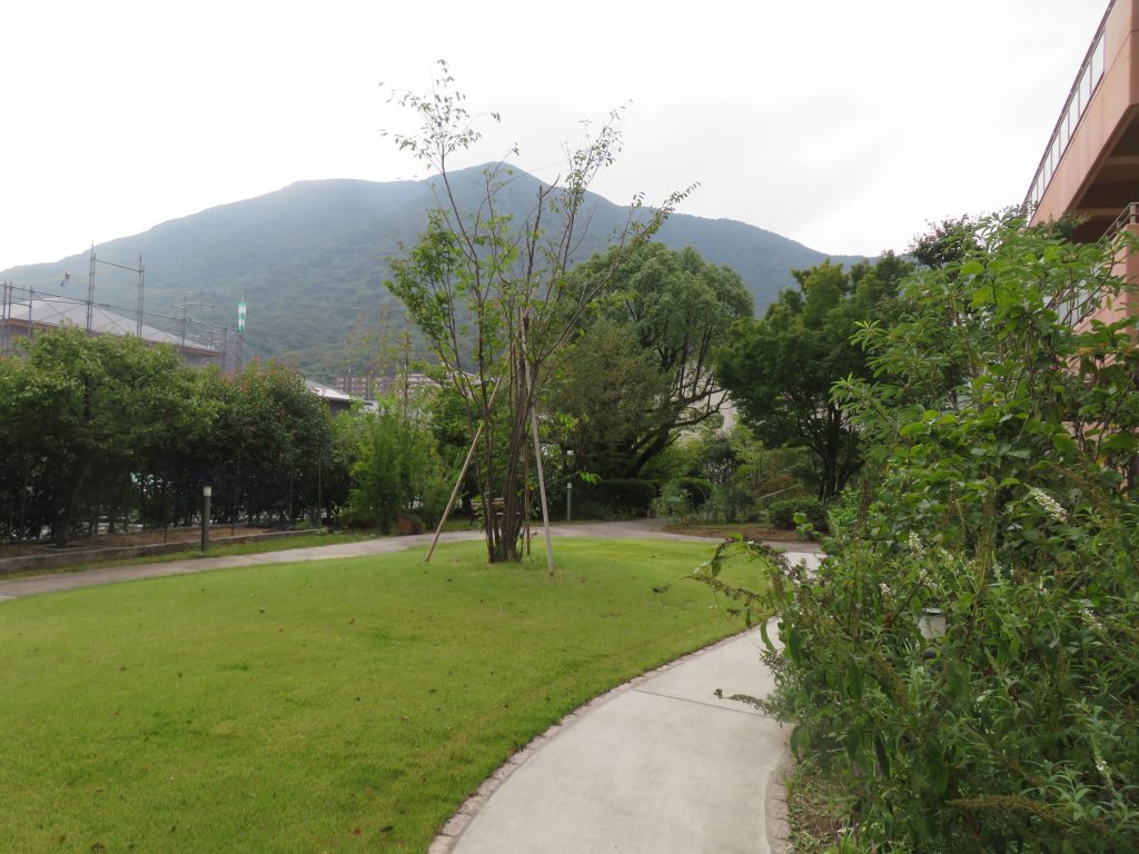 秋の気配