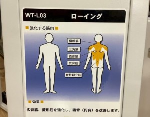 デイ8