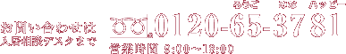 お問い合わせは、0120-65-3781