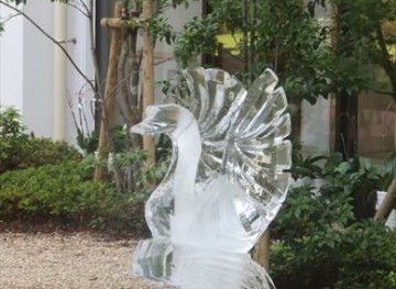IMG_2583_R
