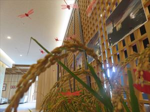IMG_6177_R