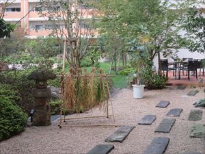 IMG_6253_R