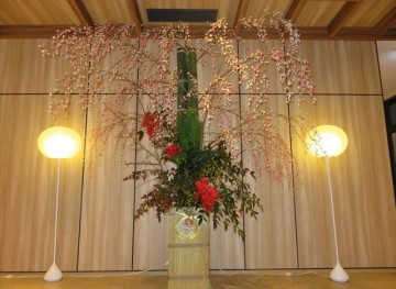 IMG_8262_R