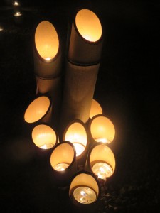 IMG_1481