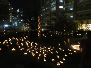 IMG_3515