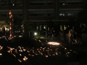 IMG_3528