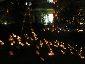 IMG_3551