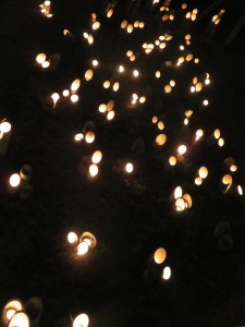 IMG_3556 (2)