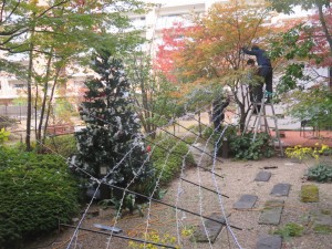 IMG_6462