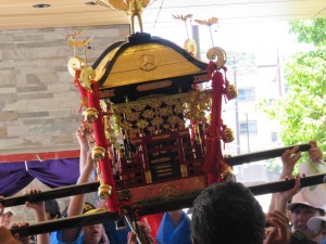 IMG_7841