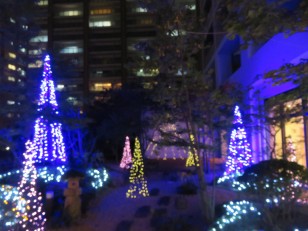 IMG_9349