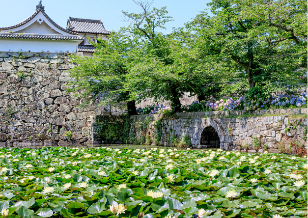 ［舞鶴公園］徒歩5分（390m）