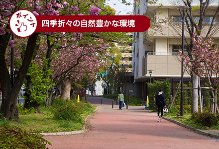 四季折々の⾃然豊かな環境