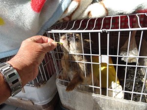 DSC00354_R