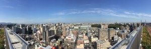 IMG_2497