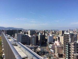 IMG_2501