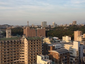 IMG_2513