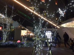IMG_2531