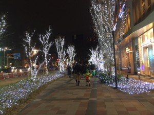 IMG_2543