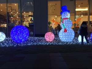 IMG_2550