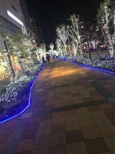 IMG_2821