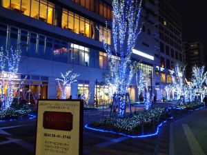 DSC_0380 (1)