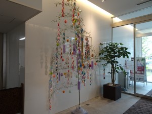DSC03307