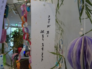 DSC03309
