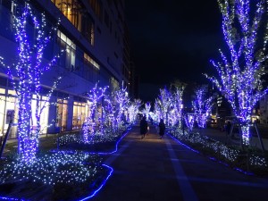 DSC03519
