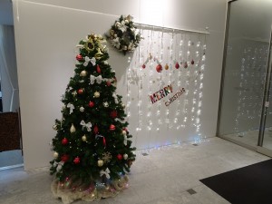 DSC03520