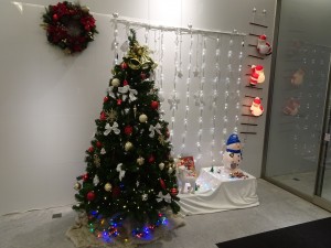 DSC04153