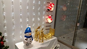 DSC_1226 (1)