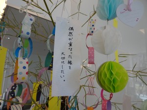 DSC04878