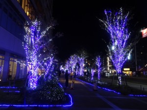 DSC04966