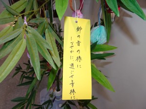 DSC05068