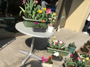 IMG_0976