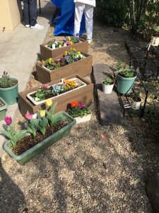 IMG_0977